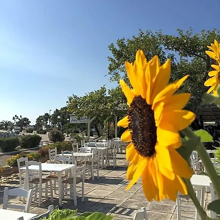 Akroyali & Otel 3*